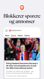 Brave nettleser og søkemotor screenshot