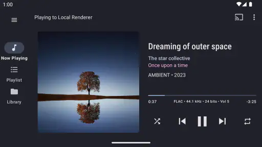 BubbleUPnP for DLNA/Chromecast screenshot