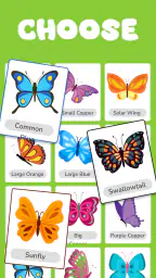 Butterfly Draw Step by Step screenshot