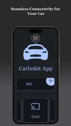 Carlinkit screenshot