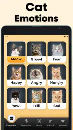 CatTranslator - Cat to Human screenshot