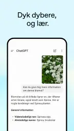 ChatGPT screenshot