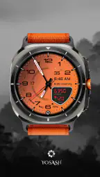 D355 Premium Watch Face screenshot
