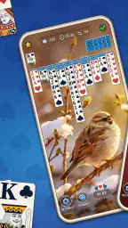 Daglig Edderkop Solitaire screenshot