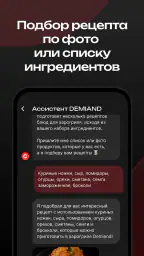 DEMIAND рецепты для аэрогриля screenshot