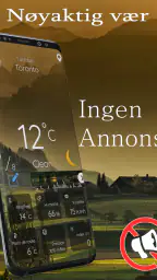 Det eksakte været screenshot