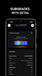 Digital Grading Co screenshot