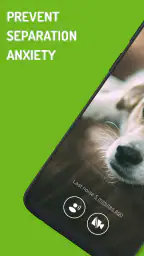 Dog Monitor: Puppy video cam screenshot