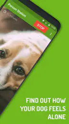 Dog Monitor: Puppy video cam screenshot