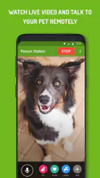 Dog Monitor: Puppy video cam screenshot