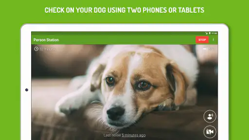 Dog Monitor: Puppy video cam screenshot