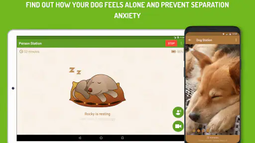 Dog Monitor: Puppy video cam screenshot