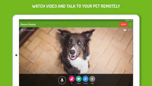 Dog Monitor: Puppy video cam screenshot