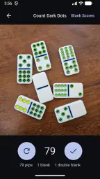 Domino Dot Counter screenshot