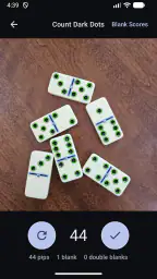 Domino Dot Counter screenshot
