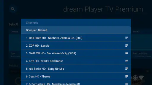 dream Player IPTV for TV screenshot