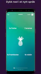 Drops: Lær islandsk raskt! screenshot