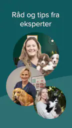 DyreID screenshot