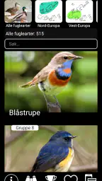 Europeisk Fugler Stemmene PRO screenshot