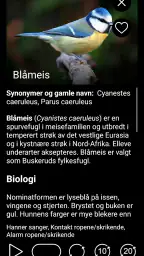 Europeisk Fugler Stemmene PRO screenshot