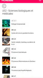 Fiches IDE screenshot