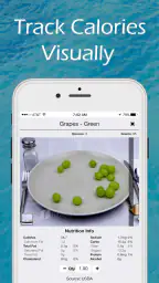 Figwee Visual Food Diary screenshot