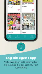 Flipp Norge screenshot
