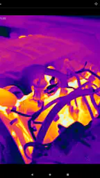 FLIR ONE screenshot