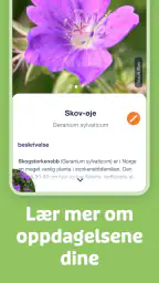Flora Incognita screenshot