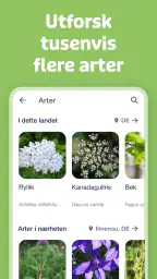 Flora Incognita screenshot