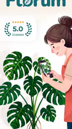 Florum: Plante identifikasjon screenshot
