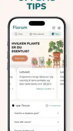 Florum: Plante identifikasjon screenshot