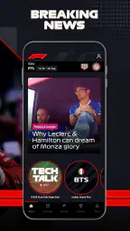 Formula 1® screenshot