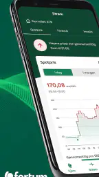 Fortum screenshot