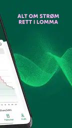 Fortum screenshot