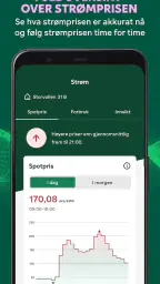 Fortum screenshot