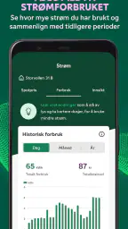 Fortum screenshot