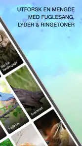 Fuglelyder screenshot