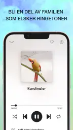 Fuglelyder screenshot