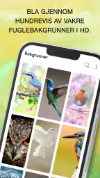 Fuglelyder screenshot
