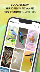 Fuglelyder screenshot