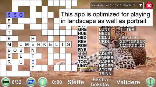 Fylle inn Kryssord Puzzle screenshot