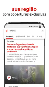 G1 Portal de Notícias da Globo screenshot