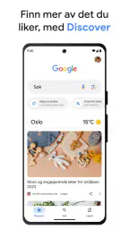 Google screenshot
