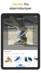 Google screenshot