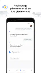 Google Assistent screenshot