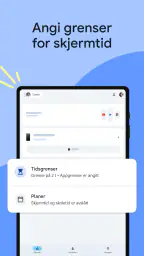 Google Family Link screenshot