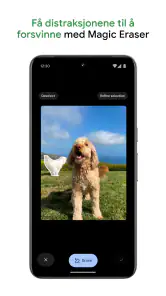 Google Foto screenshot