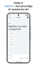 Google Gemini screenshot