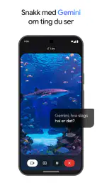 Google Gemini screenshot